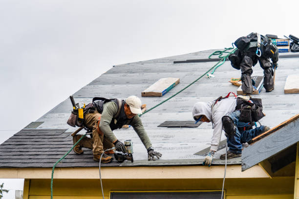 Professional Storm Damage Roof Repair technician working in Empire, CO